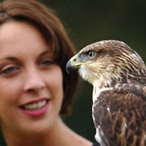 Complete Day Falconry Experience Gift Voucher - Click Image to Close